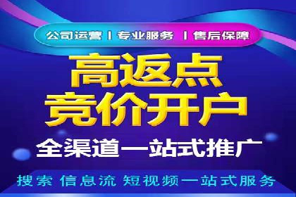 案例对比：不同竞价推广策略的优劣分析
